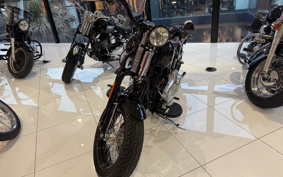 HARLEY FLSTSB 2011 JM5
