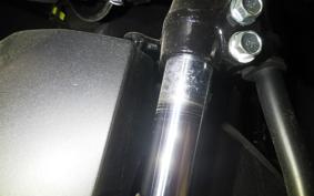 HONDA ﾀﾞﾝｸ 2009 AF78