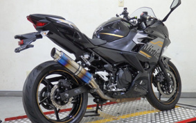 KAWASAKI NINJA 250 EX250P