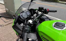 KAWASAKI NINJA 250 KRT ED EX250Y