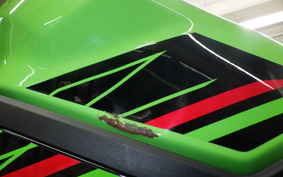 KAWASAKI ZX-4RR 2023 ZX400P