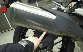 KAWASAKI ZX-4R SE 2024 ZX400P