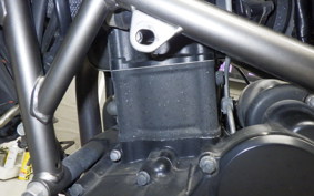 KAWASAKI Z250 SL BR250E