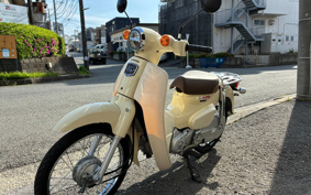 HONDA SUPER CUB50 AA09