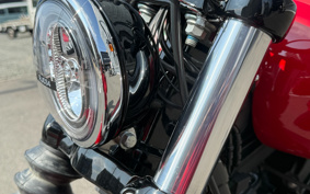 HARLEY FXBBS 2024 YYK