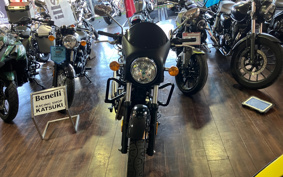 BENELLI IN PE REAR -RE400 2023