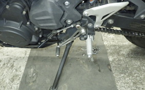 KAWASAKI NINJA 250 2