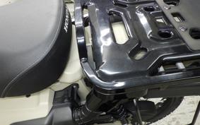 HONDA CT125 HUNTER CUB 2024 JA55