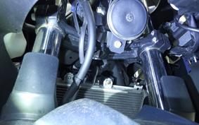 KAWASAKI NINJA 400 2021 EX400G