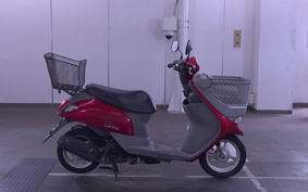 OTHER  LET`S  BASKET 