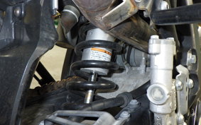 YAMAHA WR250X 2009 DG15J