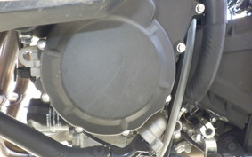 KAWASAKI ZX-4R SE 2024 ZX400P