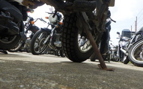HONDA ELSINORE 250 MT250