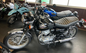 KAWASAKI W800 2025 EJ800E
