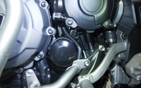 TRIUMPH TIGER 1200 GT PRO 2024