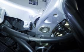 YAMAHA XSR900 GP 2024 RN96J