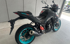 YAMAHA MT-25 RG74J