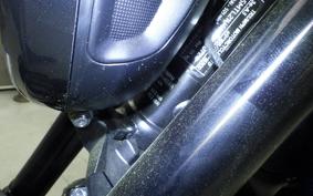 TRIUMPH TRIDENT 660 2026