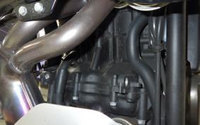 YAMAHA TENERE 700 2024 DM13J