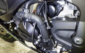 KAWASAKI NINJA ZX-6R A 2025 ZX636J