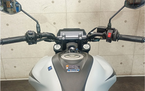 YAMAHA FZS FI RG91