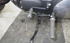 HARLEY XL883N 2015