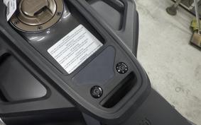 HUSQVARNA SVARTPILEN 250