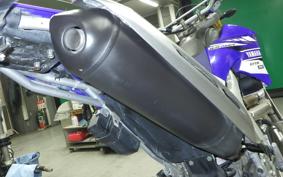 YAMAHA WR250R 2019 DG15J