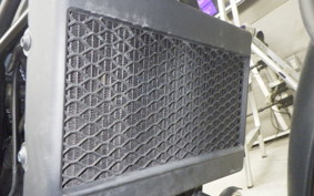 HONDA REBEL 250 2006 MC49