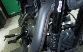 HARLEY XL1200NS 2019