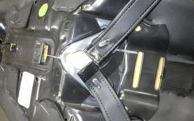 HARLEY XL1200NS 2019