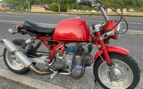 HONDA GORILLA Z50J