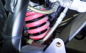 OTHER +UNREGISTERED MODEL by BDS125 2025