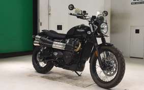 TRIUMPH SCRAMBLER 900 2024