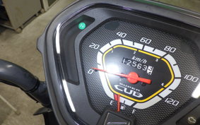 HONDA CROSS CUB 110 JA10