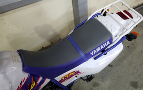 YAMAHA TT250RRAID 4GY