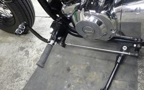 OTHER THUNDER250