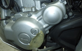 YAMAHA WR250R 2007 DG15J