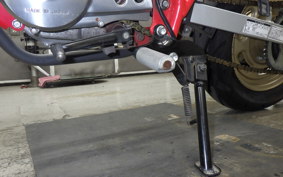 HONDA APE 50 2026 AC16