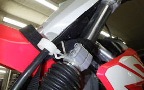 HONDA CRF250F 2024