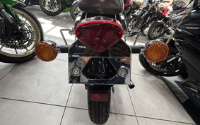 KAWASAKI W175 BJ250L