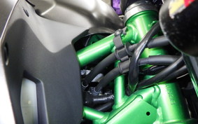 KAWASAKI Z250 EX250Y