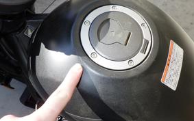 HONDA REBEL 250 S 1994 MC49