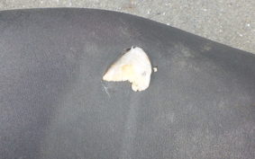 YAMAHA JOG ZR Gen.3 SA39J