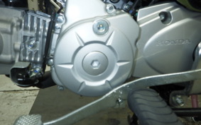 HONDA ｸﾛｽｶﾌﾞ50 AA06