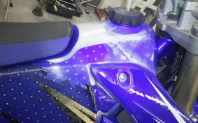 YAMAHA WR250F E 2026