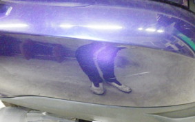 HONDA LEAD 125 JF45