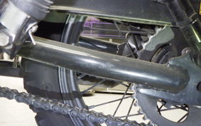 OTHER +UNREGISTERED MODEL by BDS250 1992