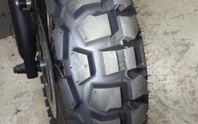 OTHER MUTT250 2024
