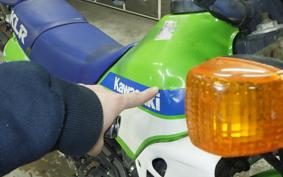 KAWASAKI KLR250 KL250D